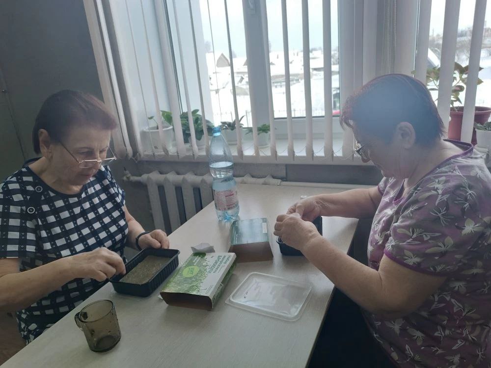 Выращиваем микрозелень на подоконнике