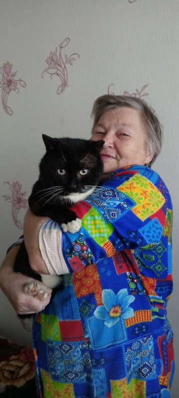 День черной кошки