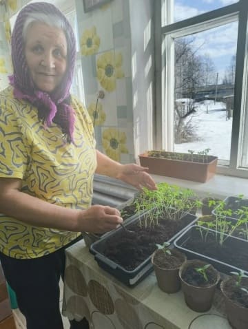 Выращивание рассады